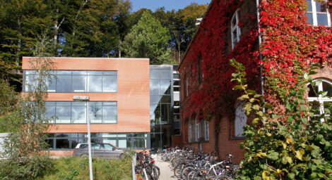 Vejle Friskole
